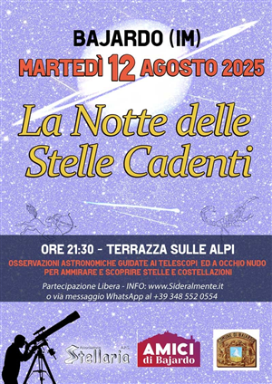 La notte delle stelle cadenti